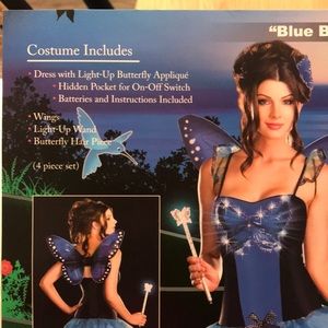 Adult butterfly Halloween costume.  Includes dress, wand, hair clip, and wings.